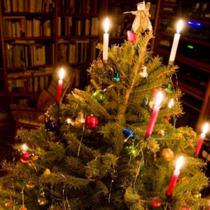 چراغ و درخت کریسمس