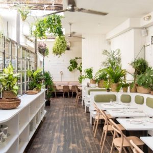 نگهداری گیاهان زنده در داخل یا اطراف رستوران