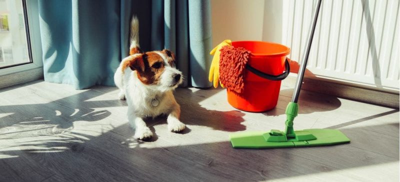 Using washable cloths to prevent damage to household appliances from pets
