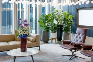 اصول کلیدی طراحی فضای اداری مدرن و کاربردی